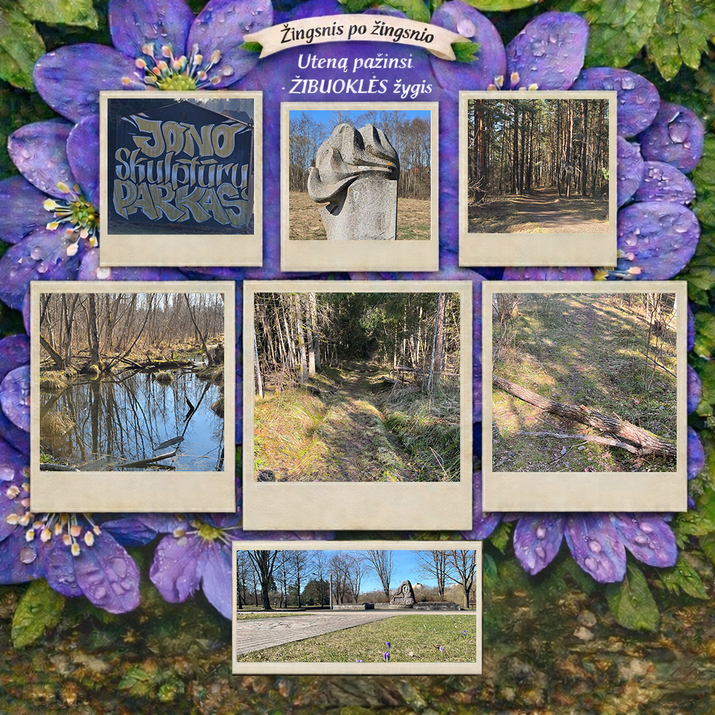 Dalijamės vaizdais iš žygio trasos!